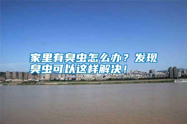 家里有臭蟲怎么辦？發現臭蟲可以這樣解決！