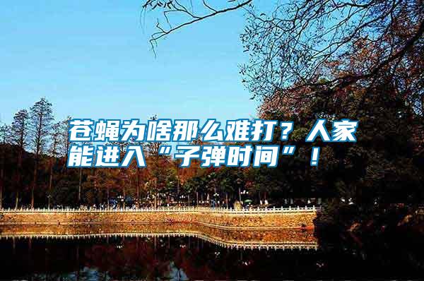 蒼蠅為啥那么難打？人家能進入“子彈時間”！