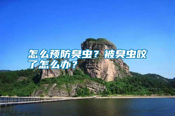 怎么預防臭蟲？被臭蟲咬了怎么辦？