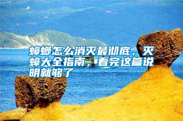 蟑螂怎么消滅最徹底，滅蟑大全指南，看完這篇說明就夠了