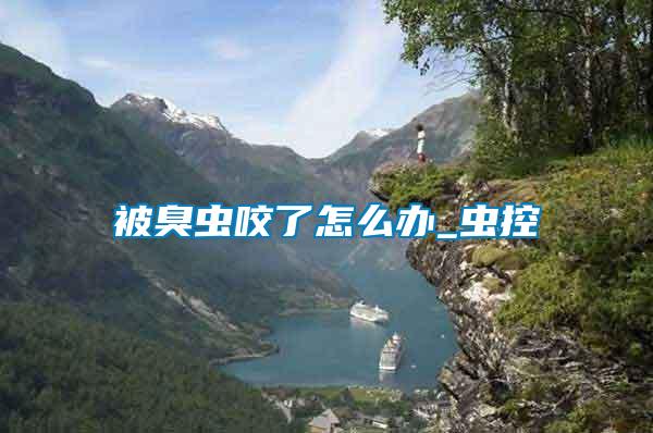 被臭蟲(chóng)咬了怎么辦_蟲(chóng)控