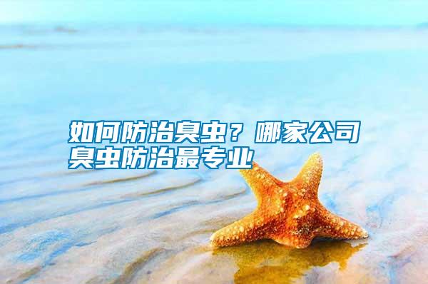 如何防治臭蟲？哪家公司臭蟲防治最專業