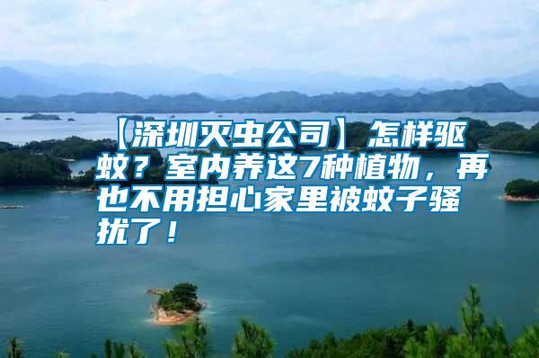 【深圳滅蟲公司】怎樣驅蚊？室內養這7種植物，再也不用擔心家里被蚊子騷擾了！