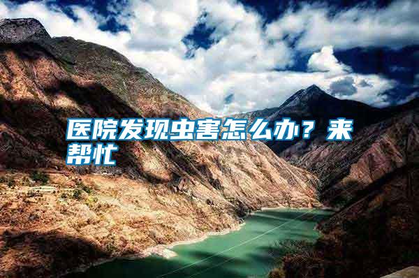 醫(yī)院發(fā)現(xiàn)蟲(chóng)害怎么辦？來(lái)幫忙