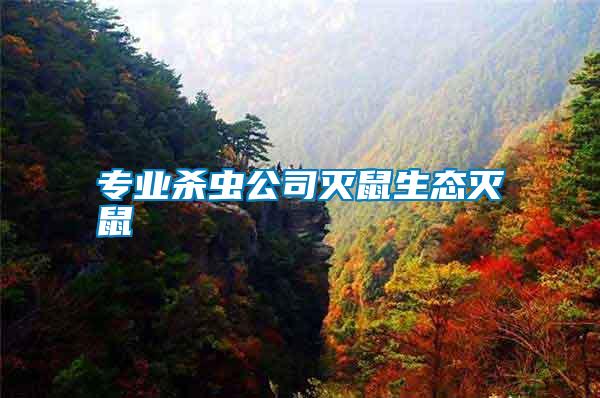 專業殺蟲公司滅鼠生態滅鼠