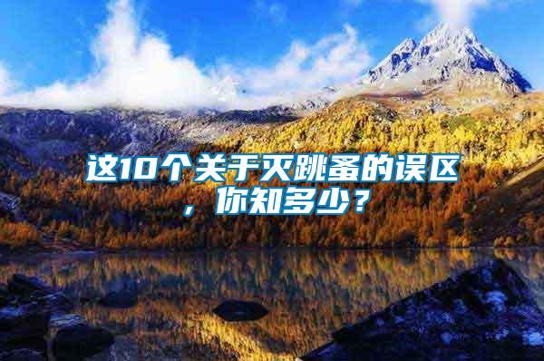 這10個關于滅跳蚤的誤區,你知多少?