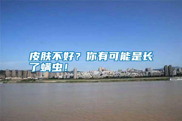 皮膚不好？你有可能是長了螨蟲！