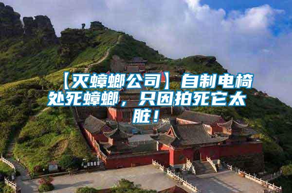 【滅蟑螂公司】自制電椅處死蟑螂，只因拍死它太臟！