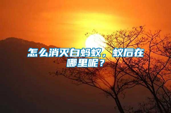 怎么消滅白螞蟻，蟻后在哪里呢？