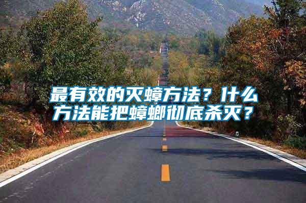 最有效的滅蟑方法?什么方法能把蟑螂徹底殺滅?