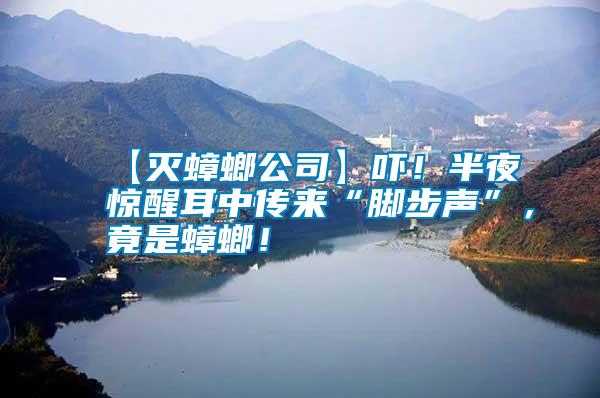 【滅蟑螂公司】嚇！半夜驚醒耳中傳來“腳步聲”，竟是蟑螂！