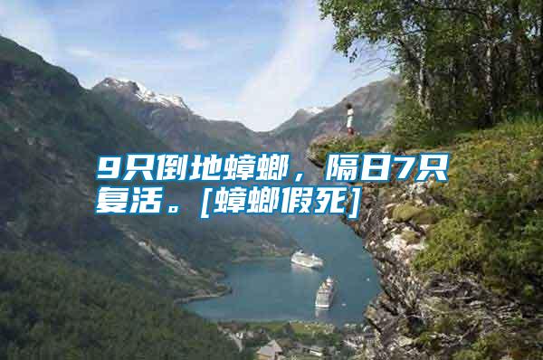 9只倒地蟑螂，隔日7只復活。[蟑螂假死]