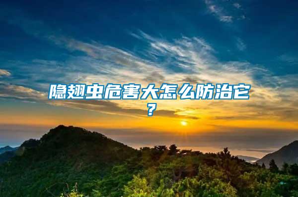 隱翅蟲危害大怎么防治它?