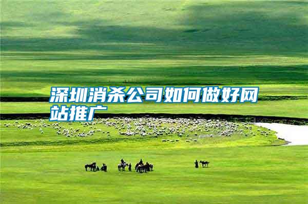 深圳消殺公司如何做好網站推廣