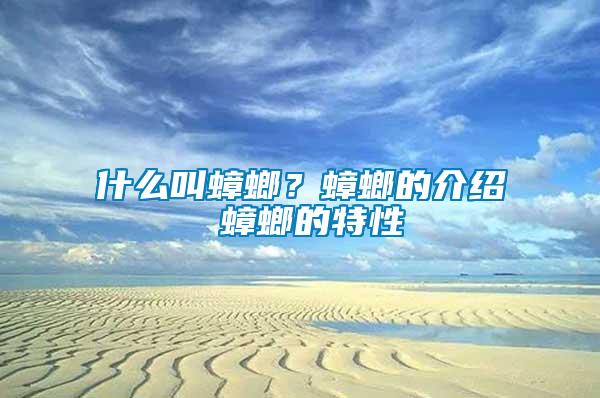 什么叫蟑螂？蟑螂的介紹 蟑螂的特性