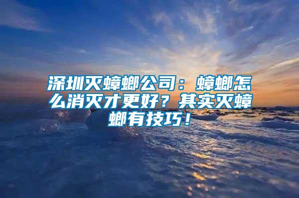 深圳滅蟑螂公司：蟑螂怎么消滅才更好？其實滅蟑螂有技巧！