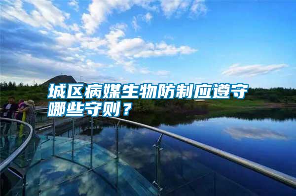 城區病媒生物防制應遵守哪些守則？