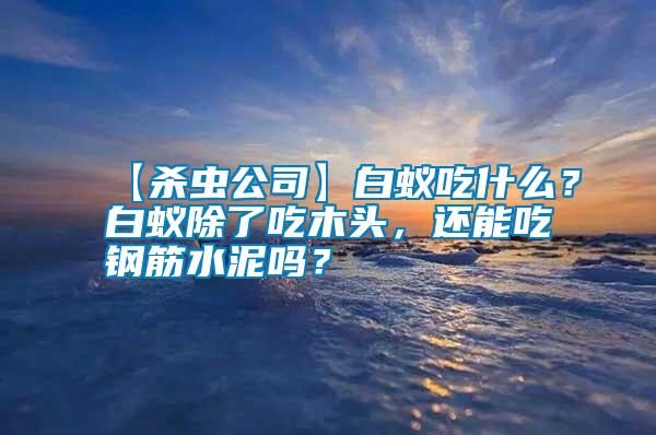 【殺蟲公司】白蟻吃什么？白蟻除了吃木頭，還能吃鋼筋水泥嗎？