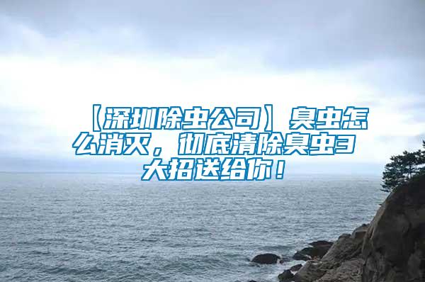 【深圳除蟲公司】臭蟲怎么消滅,徹底清除臭蟲3大招送給你!