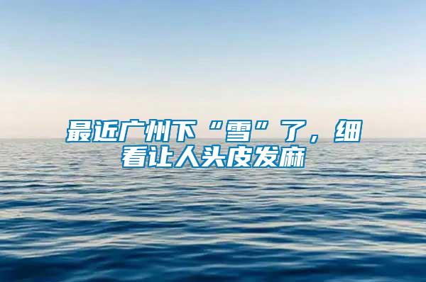最近廣州下“雪”了，細看讓人頭皮發麻