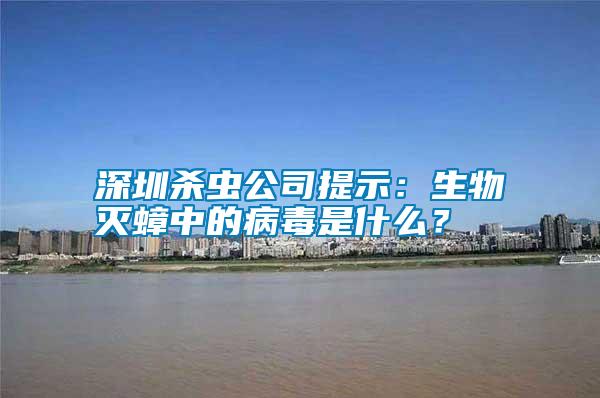 深圳殺蟲公司提示：生物滅蟑中的病毒是什么？