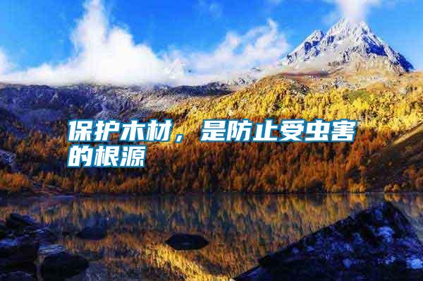 保護(hù)木材，是防止受蟲害的根源