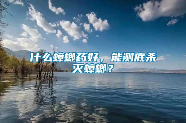 什么蟑螂藥好，能測底殺滅蟑螂？