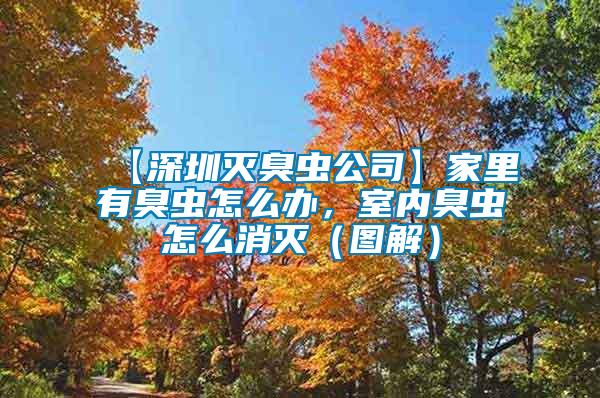 【深圳滅臭蟲公司】家里有臭蟲怎么辦，室內臭蟲怎么消滅（圖解）