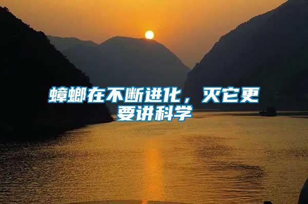 蟑螂在不斷進化，滅它更要講科學