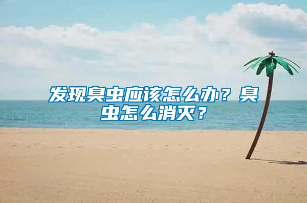 發現臭蟲應該怎么辦？臭蟲怎么消滅？