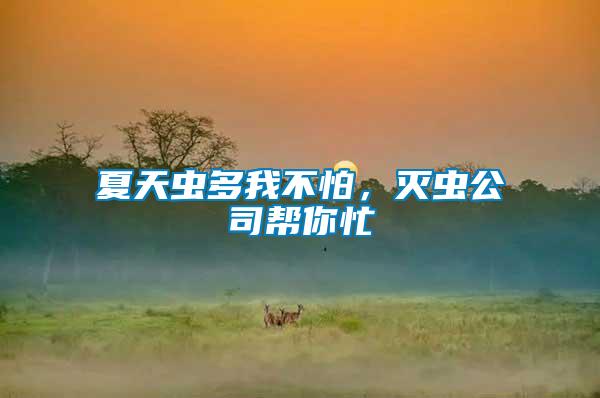 夏天蟲多我不怕，滅蟲公司幫你忙