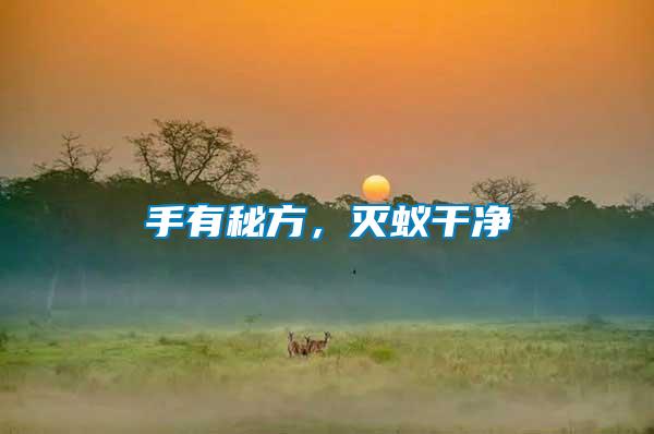 手有秘方，滅蟻干凈