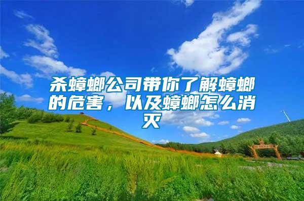 殺蟑螂公司帶你了解蟑螂的危害，以及蟑螂怎么消滅