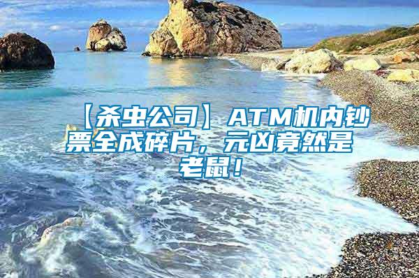 【殺蟲公司】ATM機內鈔票全成碎片，元兇竟然是老鼠！