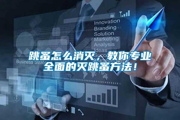 跳蚤怎么消滅，教你專業全面的滅跳蚤方法！