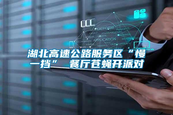 湖北高速公路服務區“慢一擋” 餐廳蒼蠅開派對