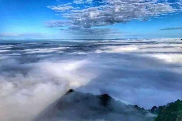 簡述深圳滅跳蚤的常用方法！