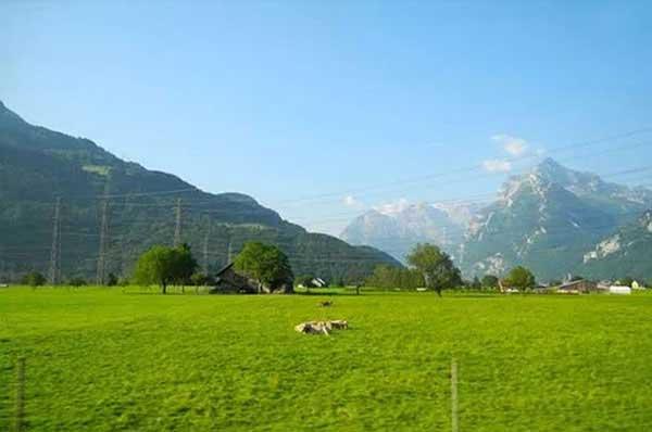 正確的室內殺蟑螂方法