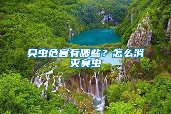 臭蟲危害有哪些？怎么消滅臭蟲