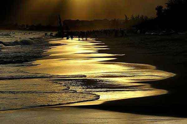 滅蟲公司,大家都需要