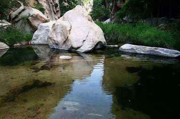 【深圳消殺公司】傳說中的“寨卡”病毒離我們究竟有多遠?