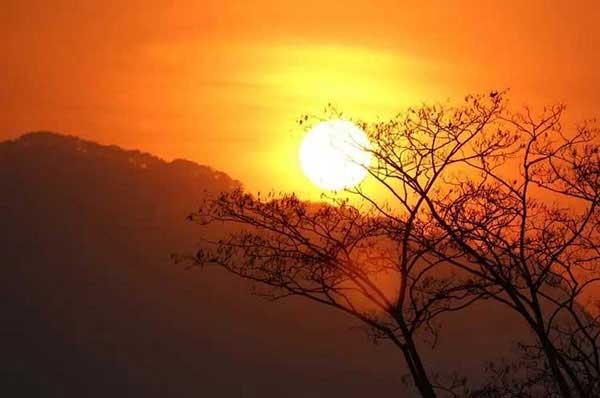 【殺蟲公司】恐怖！小區地下室成跳蚤成災，半分鐘就可以爬滿腿部！