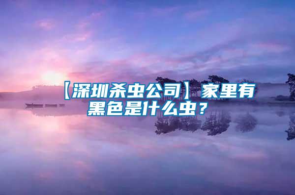【深圳殺蟲公司】家里有黑色是什么蟲？