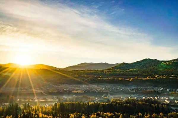 蟑螂藥：家里有蟑螂怎么辦？