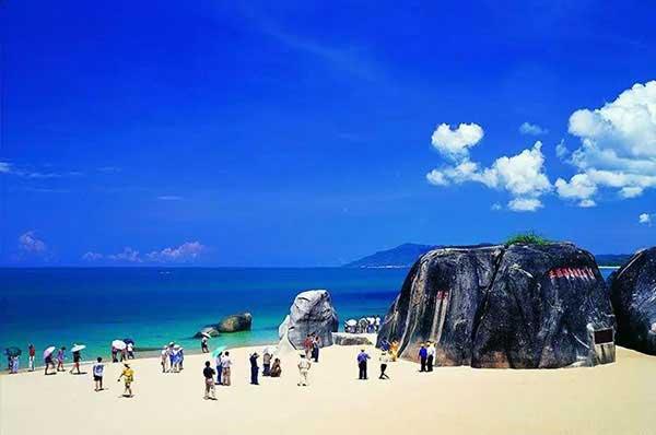 重慶：香樟被白蟻蛀、丁香成片死亡 社區樹木盼急診