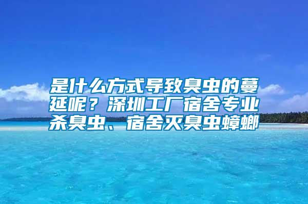 是什么方式導致臭蟲的蔓延呢?深圳工廠宿舍專業殺臭蟲、宿舍滅臭蟲蟑螂