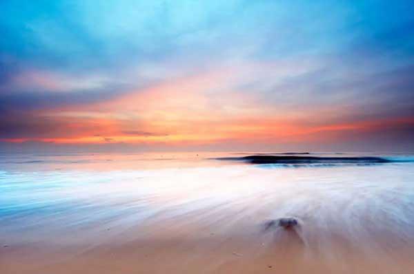 簡述深圳滅跳蚤的常用方法！