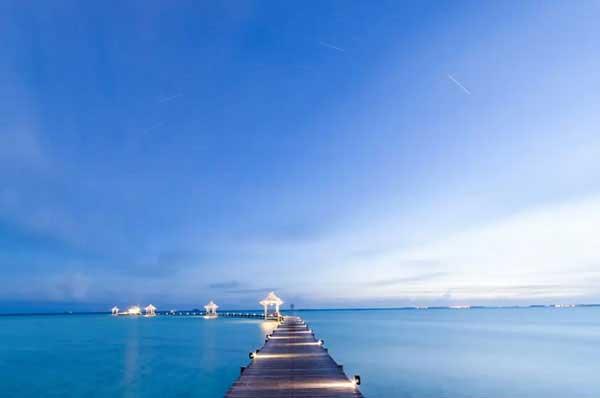 跳蚤怎么消滅，以及家庭出現跳蚤的原因