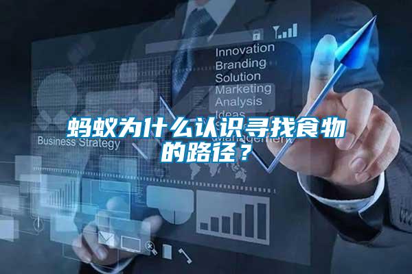 螞蟻為什么認識尋找食物的路徑？
