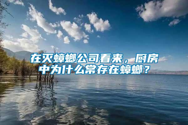 在滅蟑螂公司看來，廚房中為什么常存在蟑螂？